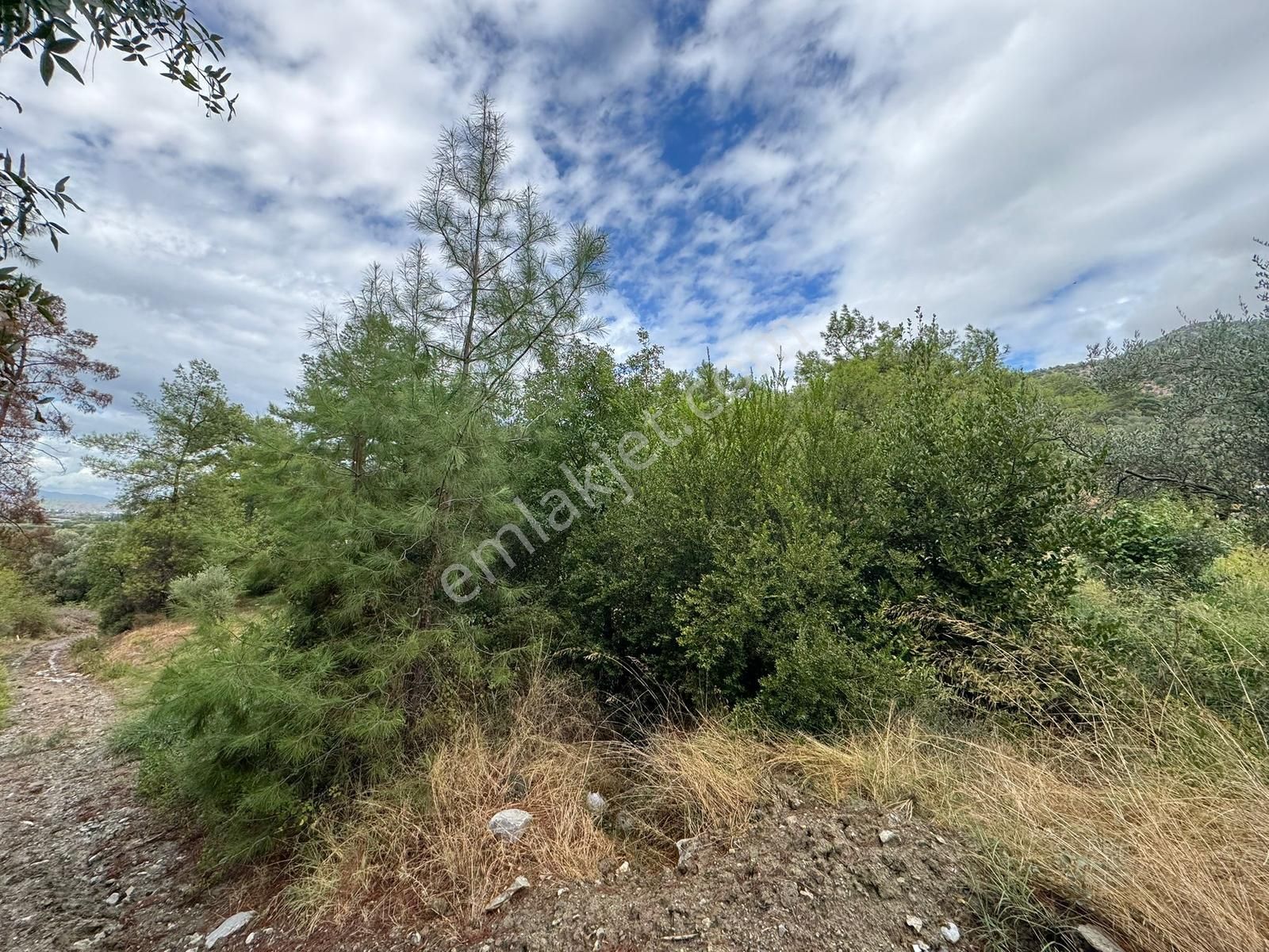 Paşa Emlak'tan Dalaman Şerefler'de Doğa İçinde 347m2 İmarlı Arsa - Görsel 10