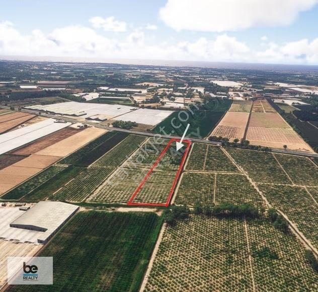 Manavgat Çakışta D-400 Cepheli Satılık Bahçe - Görsel 4