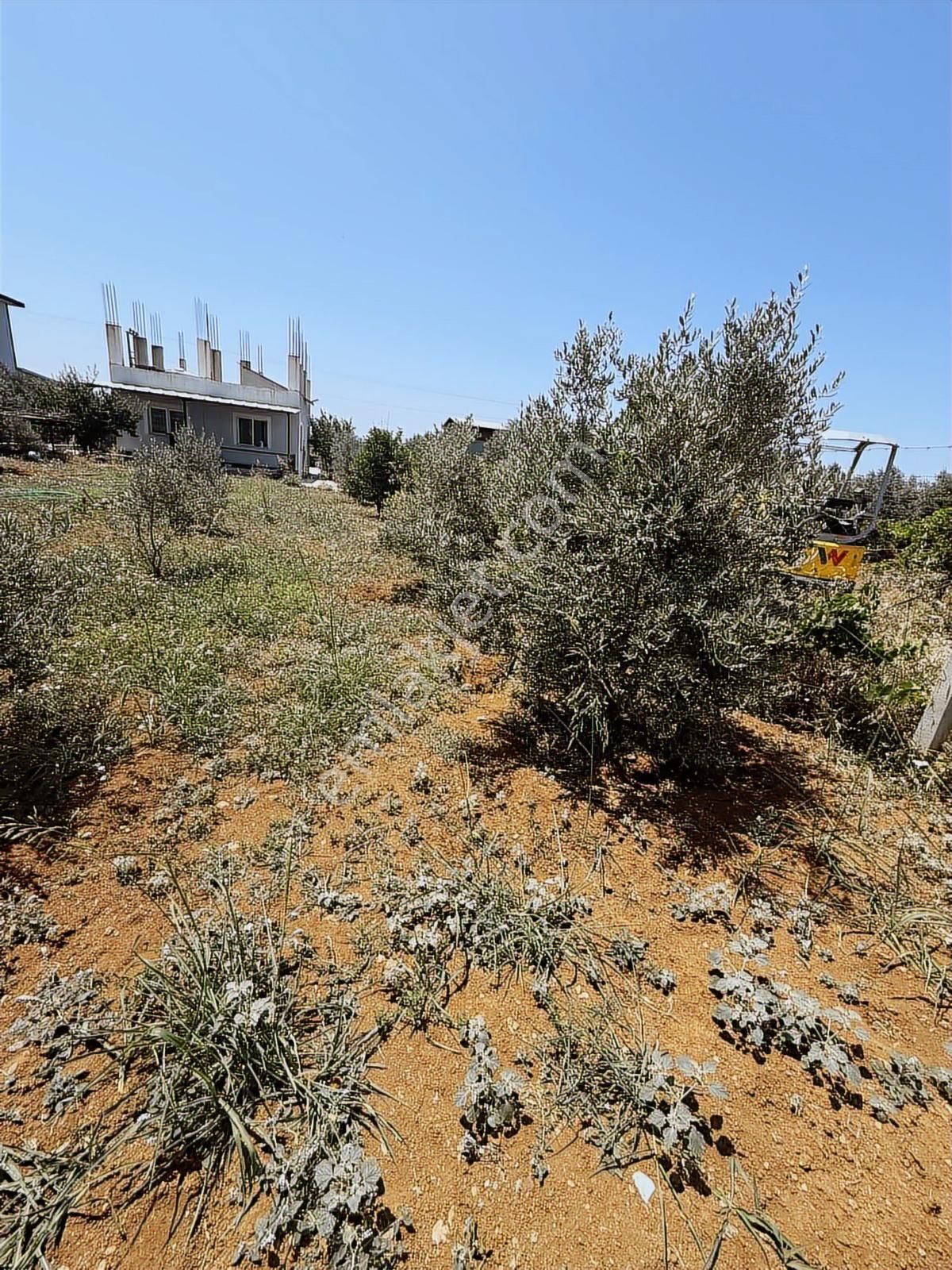 Menderes Oğlan Anasın Da 900m2 Arsa İçinde 100m2 Betonarme Ev - Görsel 23