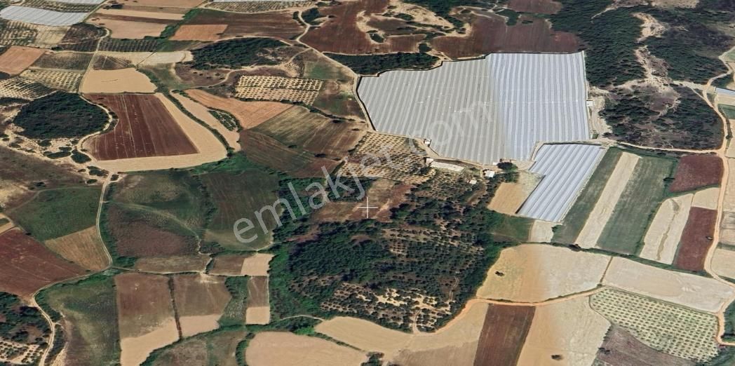 Manavgat Odaönü Mah.de Satılık Müstakil Tarla - Görsel 14