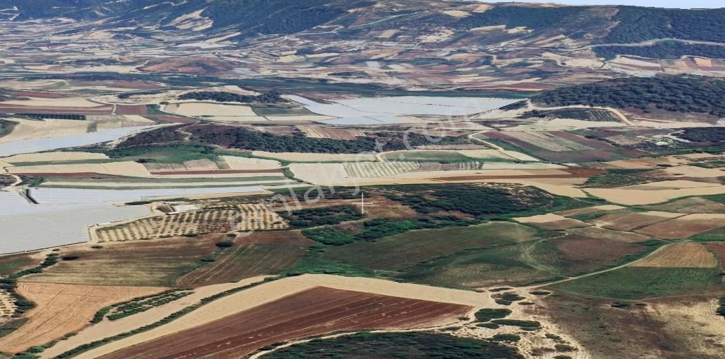 Manavgat Odaönü Mah.de Satılık Müstakil Tarla - Görsel 11