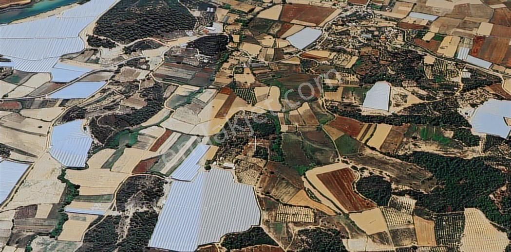 Manavgat Odaönü Mah.de Satılık Müstakil Tarla - Görsel 10