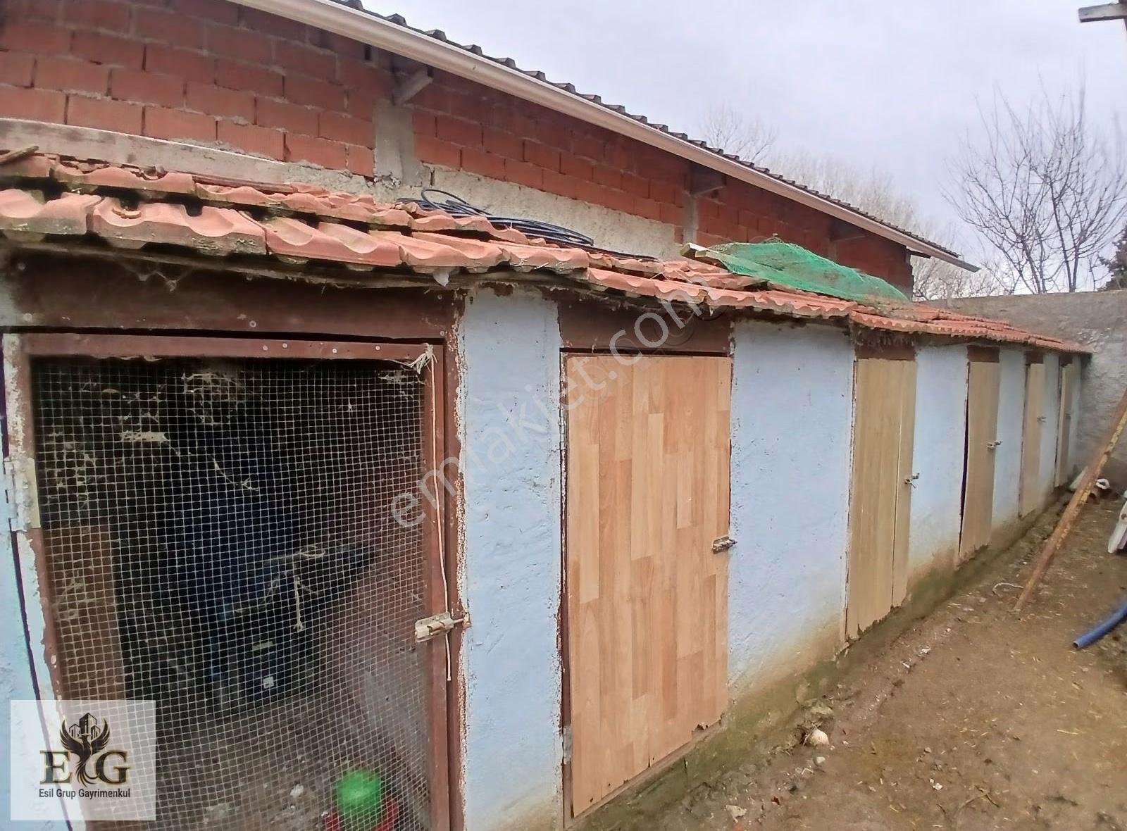 Esil Grup'tan Keskin Mh Satılık Çiftlik(kurulu Düzen) - Görsel 34