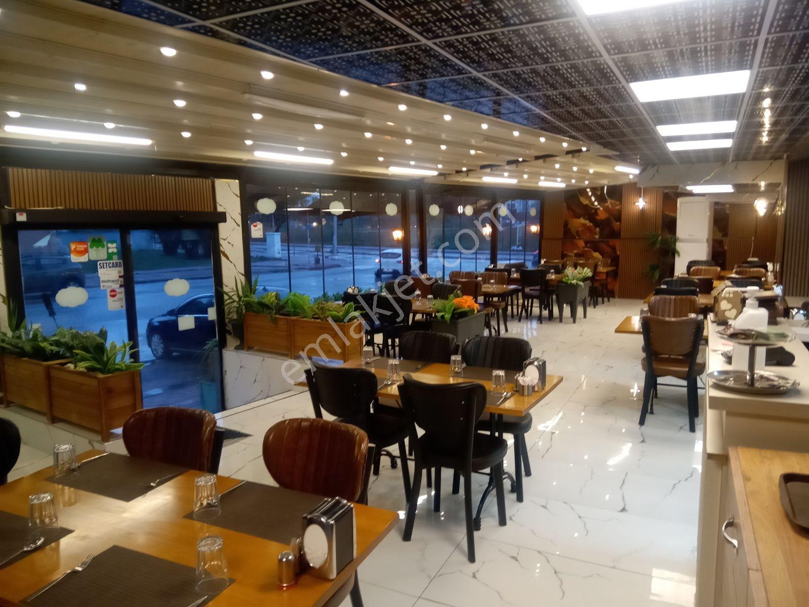 Konyaaltı Hurmada Süper Lokasyon Restorant - Görsel 13