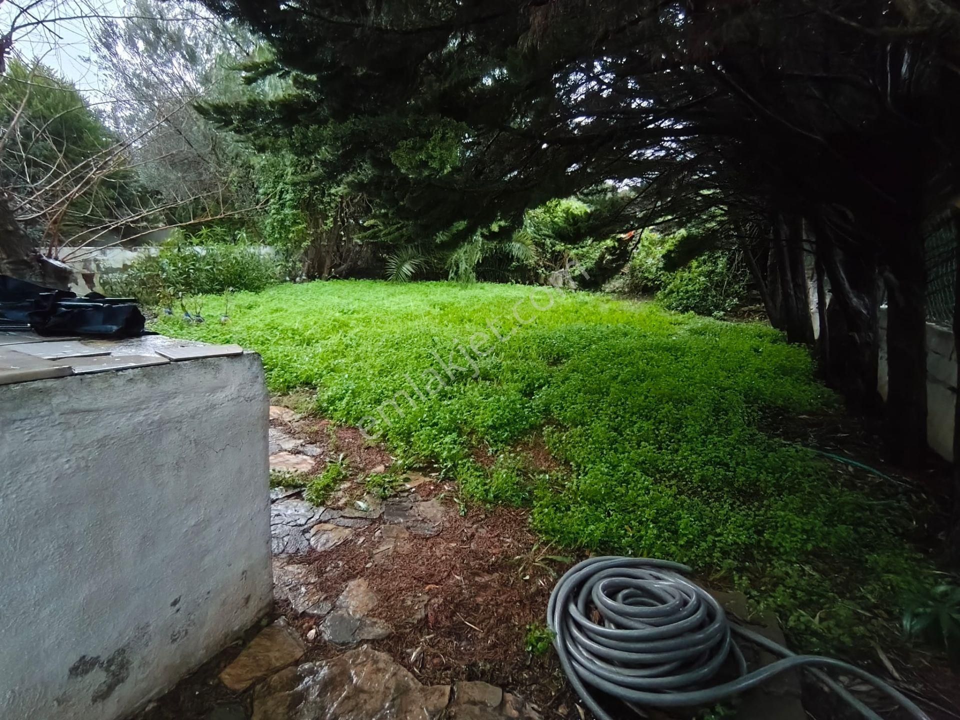 Çeşme Ilıca Plajı'na Yürüme Mesafesinde (600m),bahçeli 3+1 Villa - Görsel 3