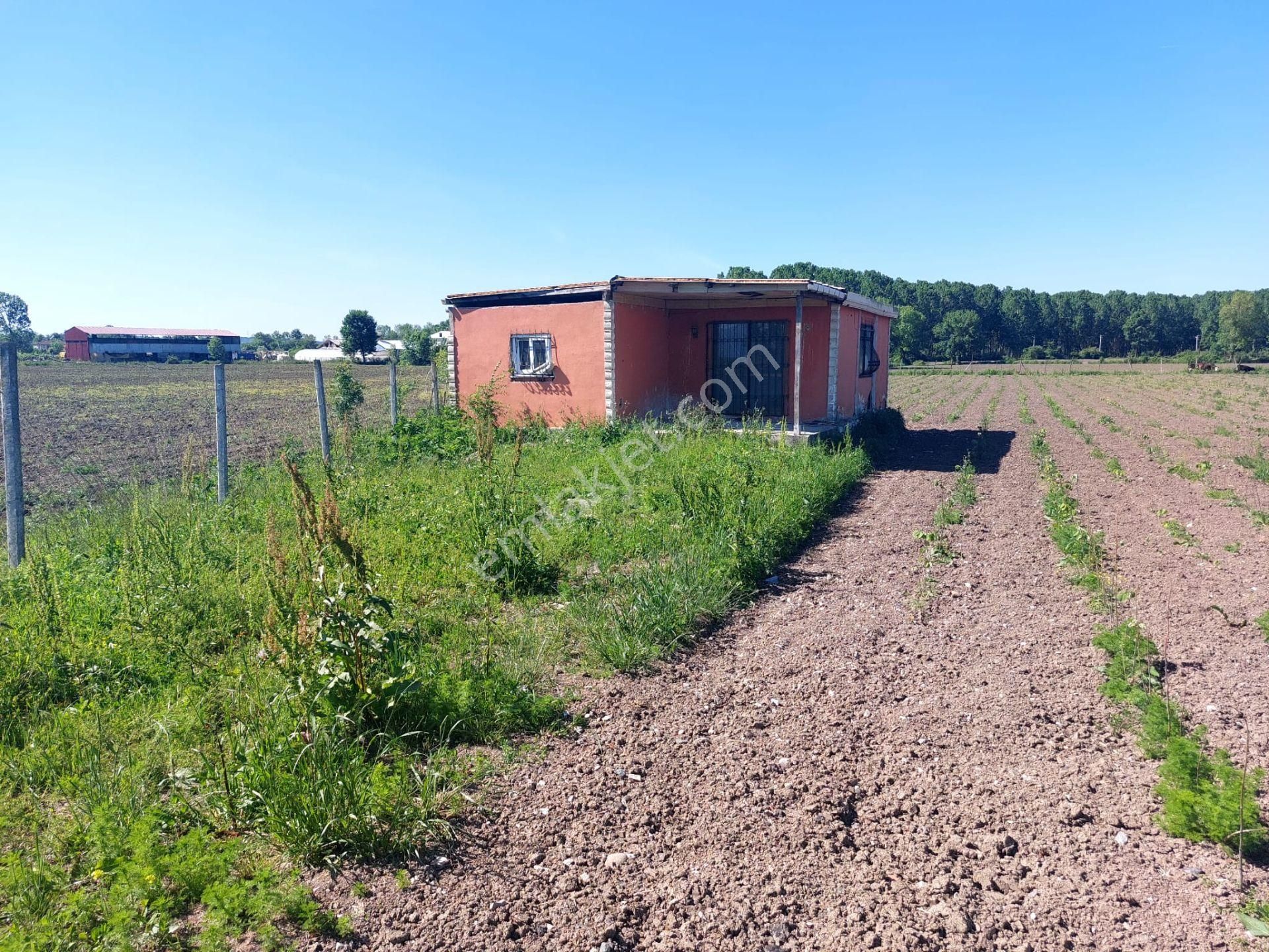 Sakarya Adapazarı Yeşilyurt Ta Yola Cepheli Satılık Tarla Ve Ev - Görsel 27