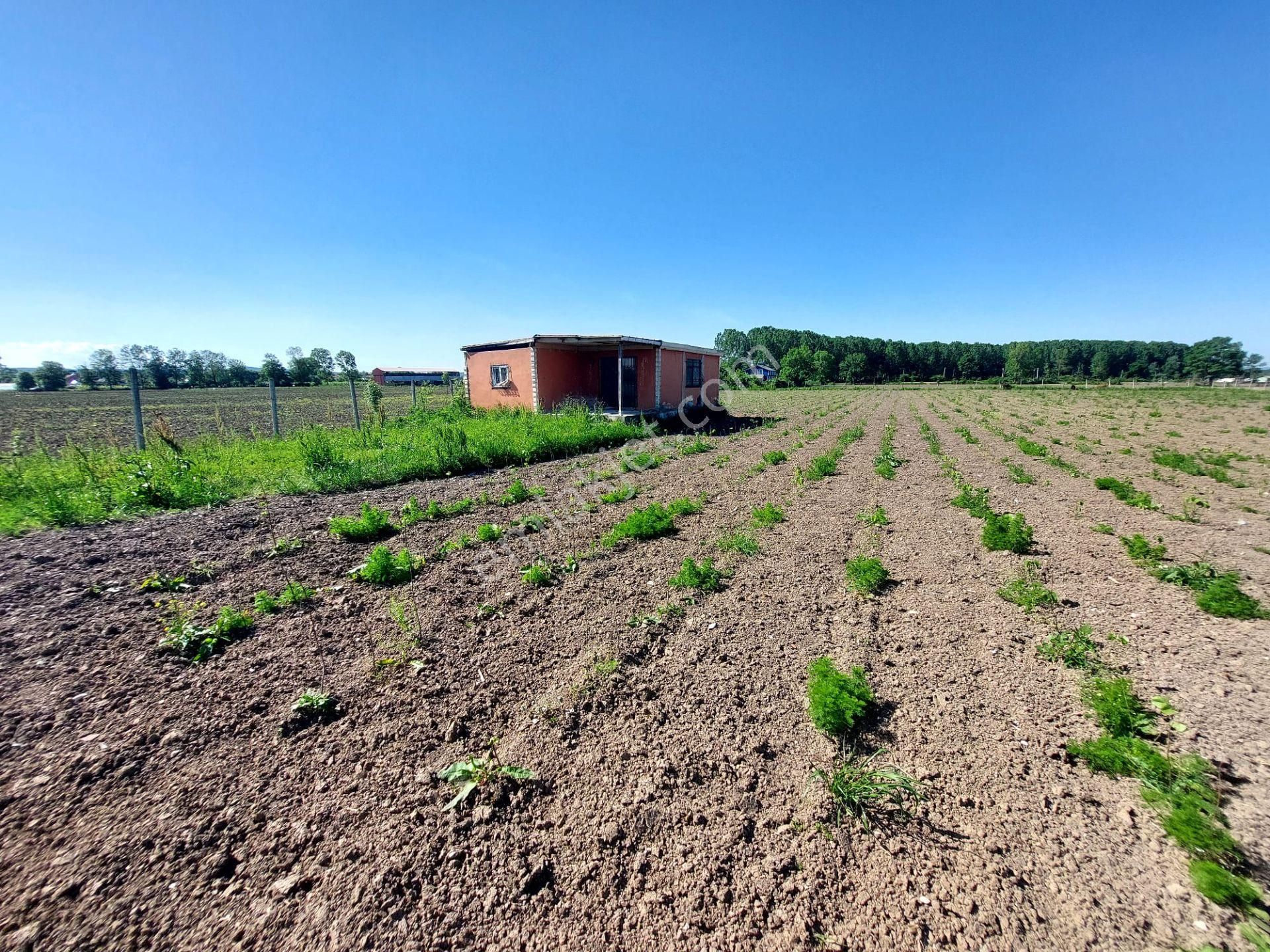 Sakarya Adapazarı Yeşilyurt Ta Yola Cepheli Satılık Tarla Ve Ev - Görsel 25