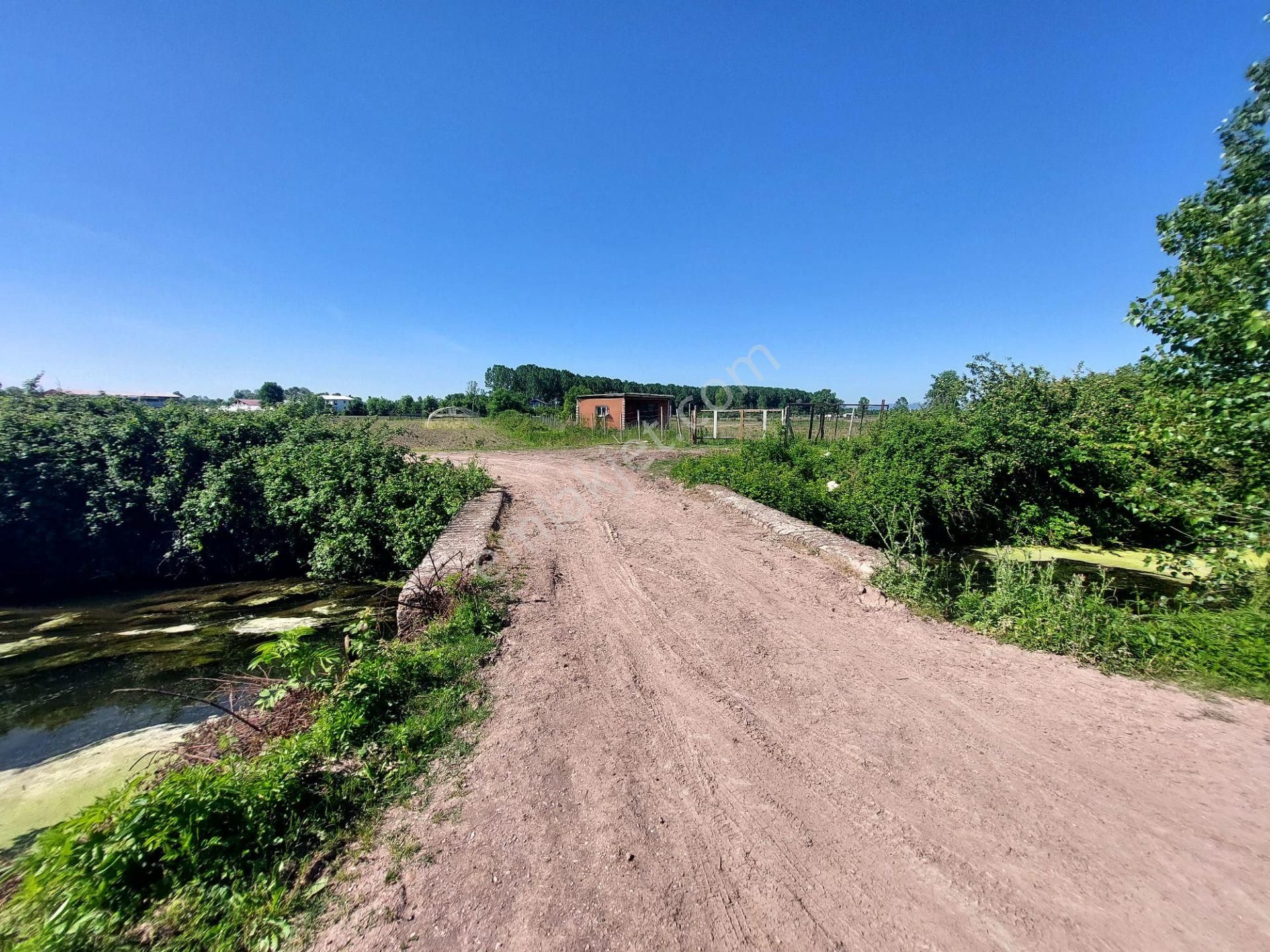 Sakarya Adapazarı Yeşilyurt Ta Yola Cepheli Satılık Tarla Ve Ev - Görsel 30