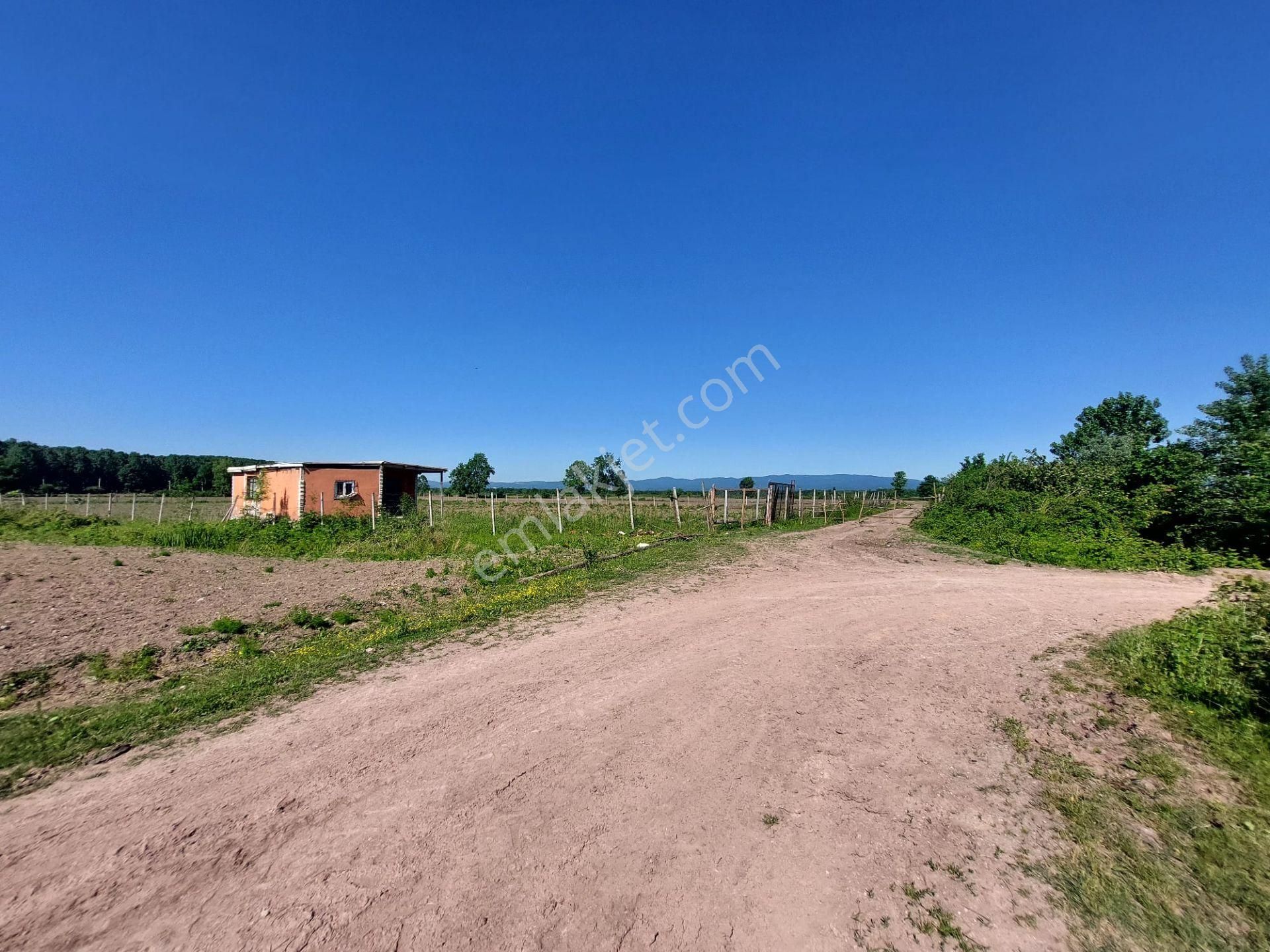 Sakarya Adapazarı Yeşilyurt Ta Yola Cepheli Satılık Tarla Ve Ev - Görsel 23