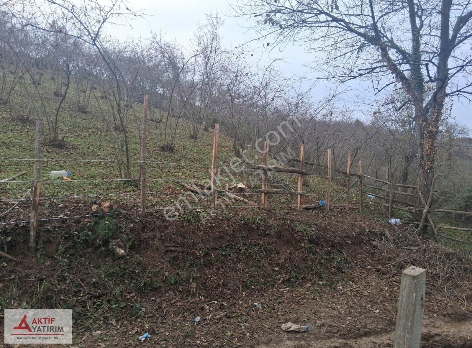 Bağırganlı'da Mahalle Merkezine Yakın Resmi Yollu Fındıklık - Görsel 7