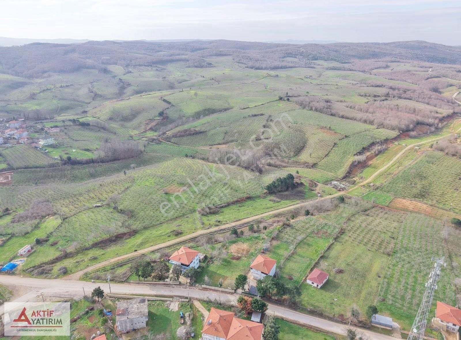 Bağırganlı'da Mahalle Merkezine Yakın Resmi Yollu Fındıklık