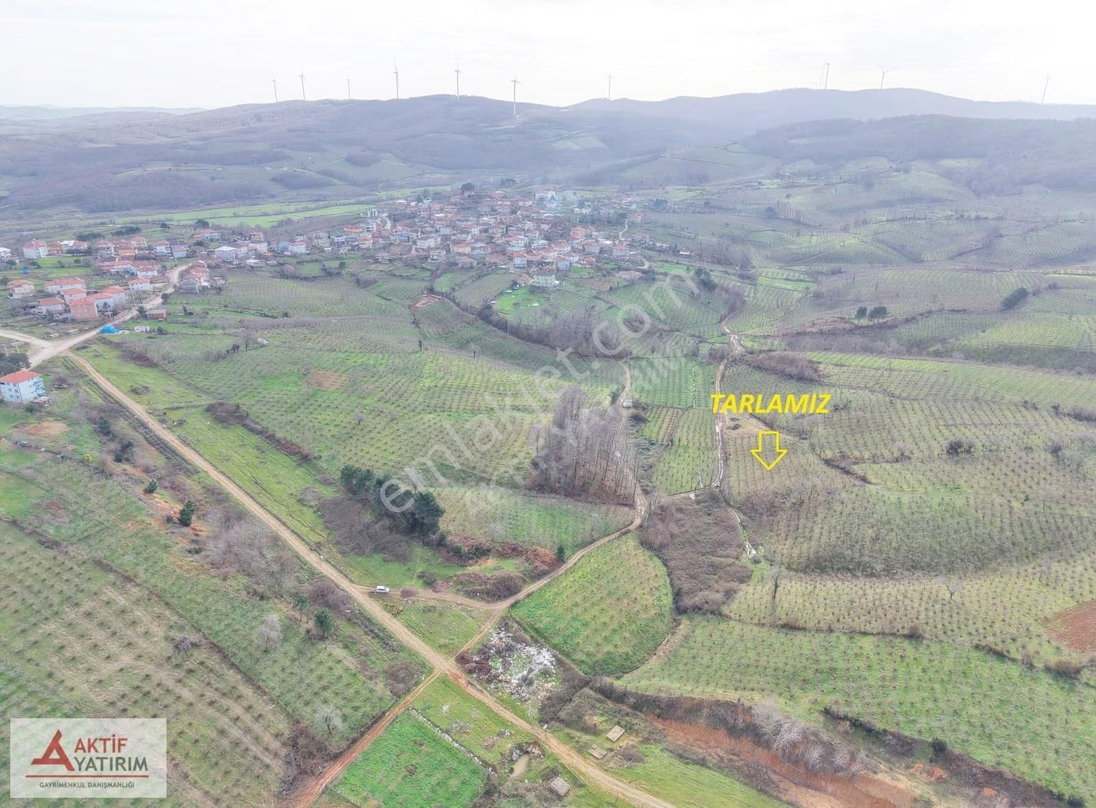 Bağırganlı'da Mahalle Merkezine Yakın Resmi Yollu Fındıklık - Görsel 8