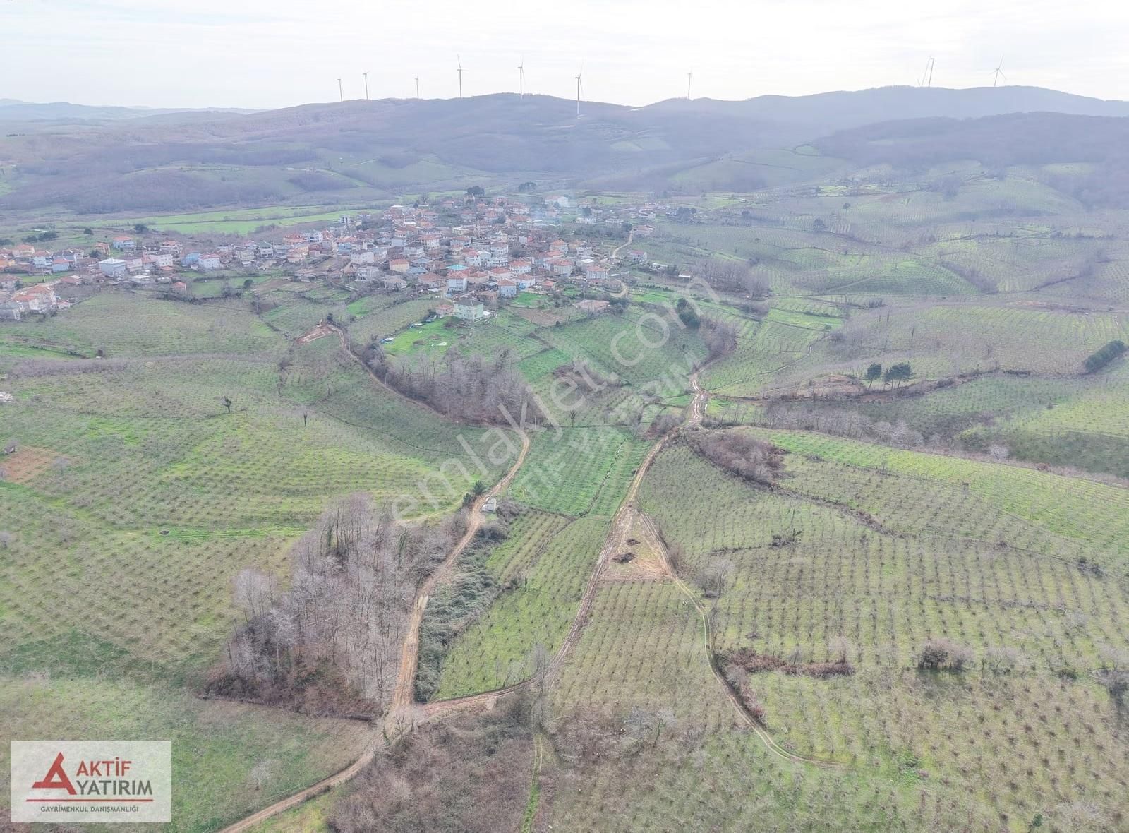 Bağırganlı'da Mahalle Merkezine Yakın Resmi Yollu Fındıklık - Görsel 24