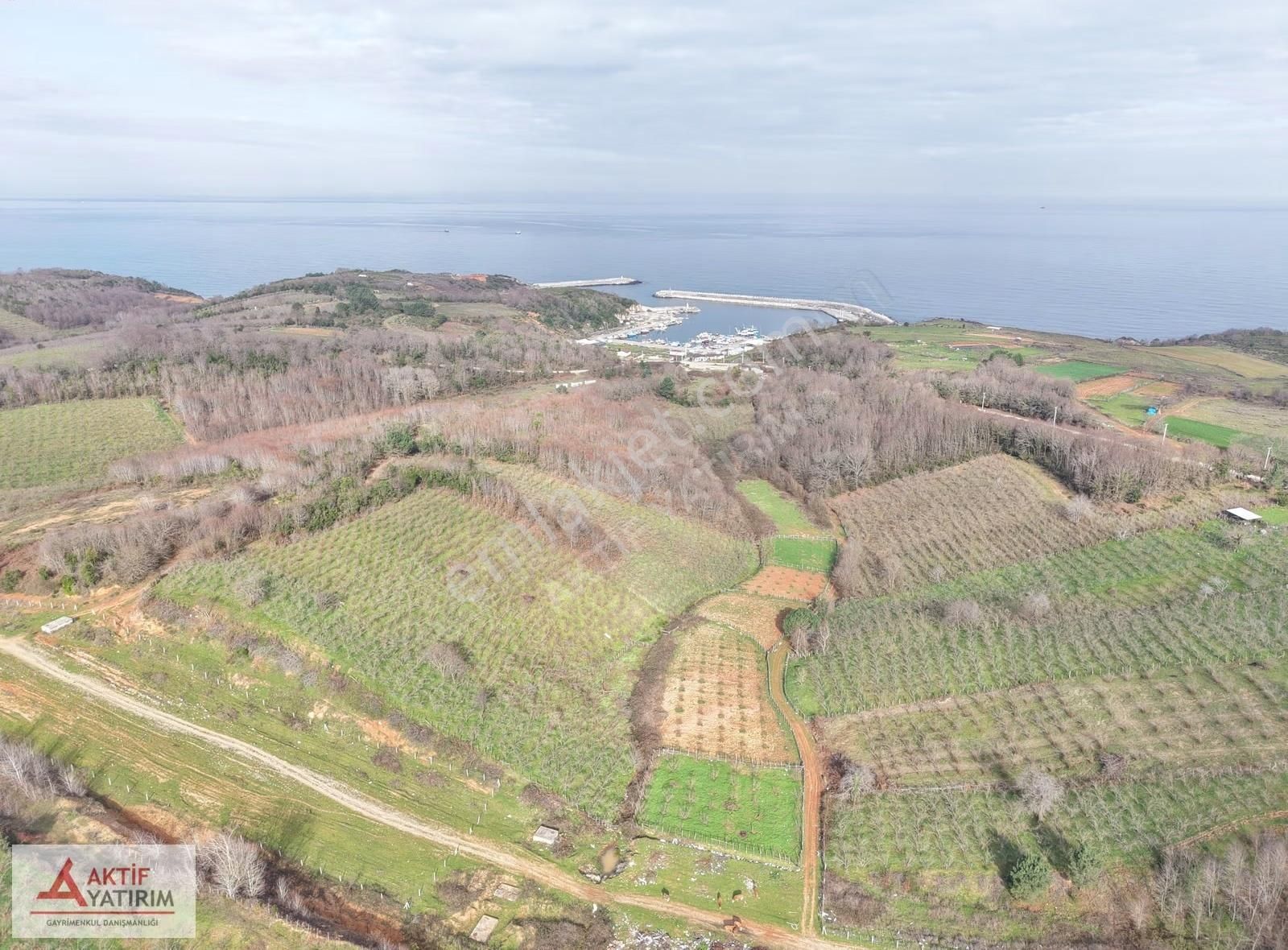 Bağırganlı'da Mahalle Merkezine Yakın Resmi Yollu Fındıklık - Görsel 23