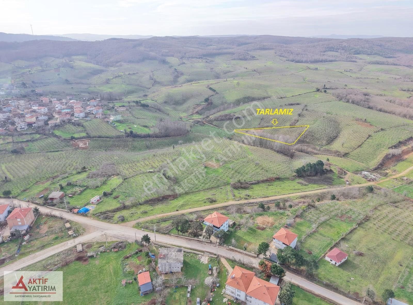 Bağırganlı'da Mahalle Merkezine Yakın Resmi Yollu Fındıklık - Görsel 4