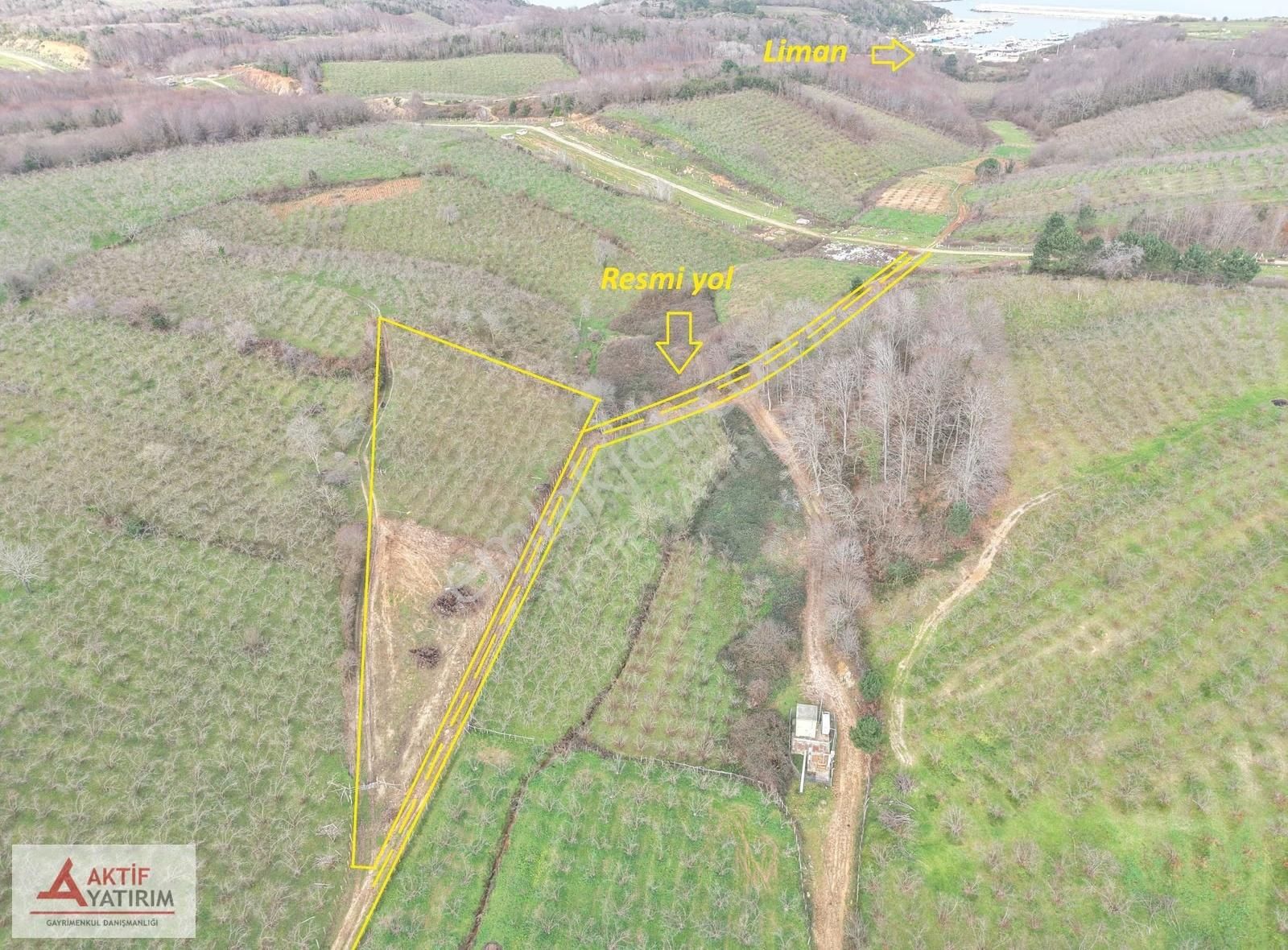 Bağırganlı'da Mahalle Merkezine Yakın Resmi Yollu Fındıklık - Görsel 19