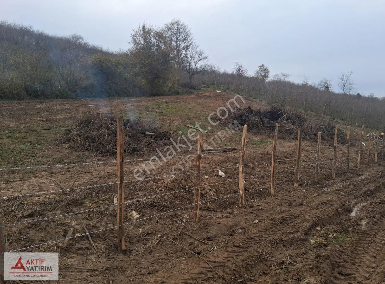 Bağırganlı'da Mahalle Merkezine Yakın Resmi Yollu Fındıklık - Görsel 6