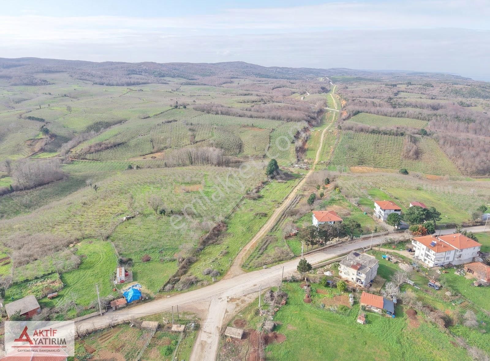 Bağırganlı'da Mahalle Merkezine Yakın Resmi Yollu Fındıklık - Görsel 14