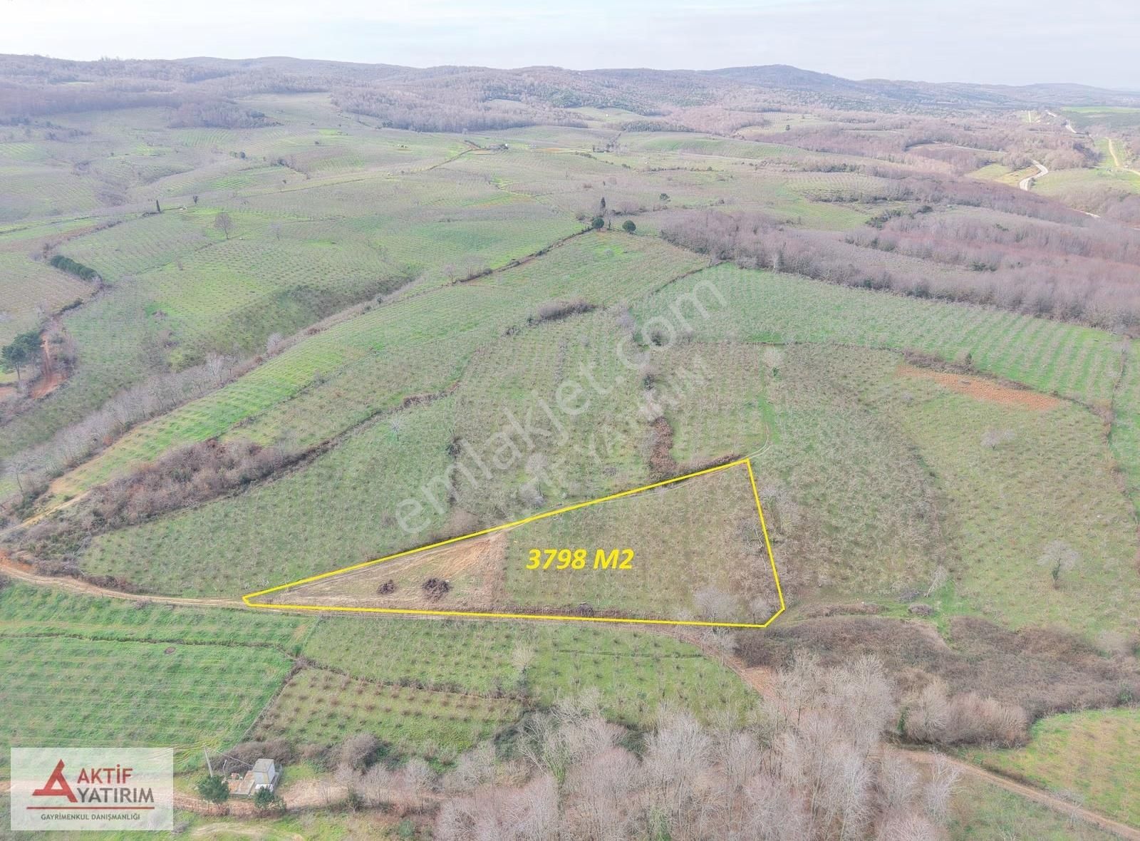 Bağırganlı'da Mahalle Merkezine Yakın Resmi Yollu Fındıklık - Görsel 21