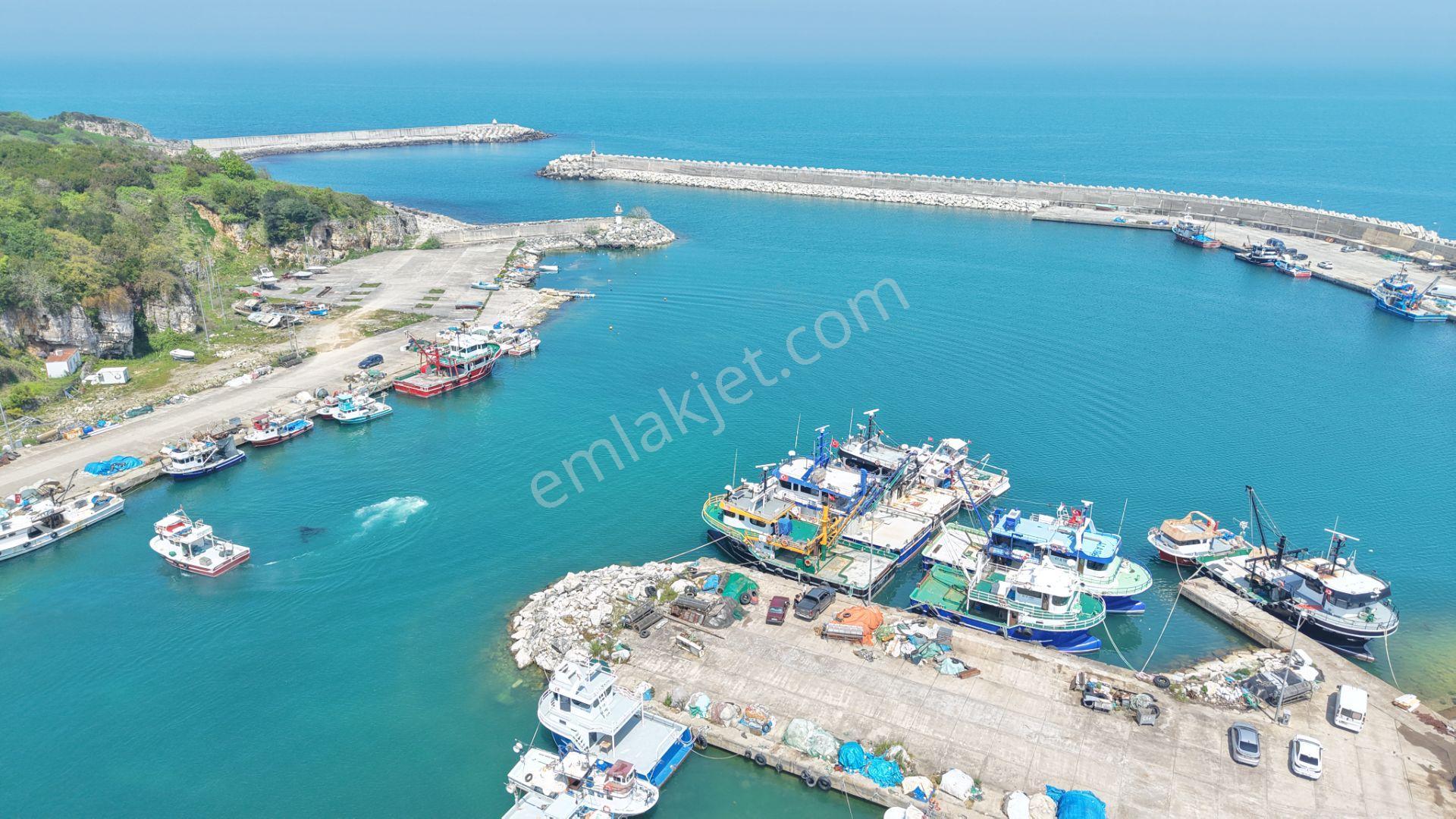 Bağırganlı'da Mahalle Merkezine Yakın Resmi Yollu Fındıklık - Görsel 32