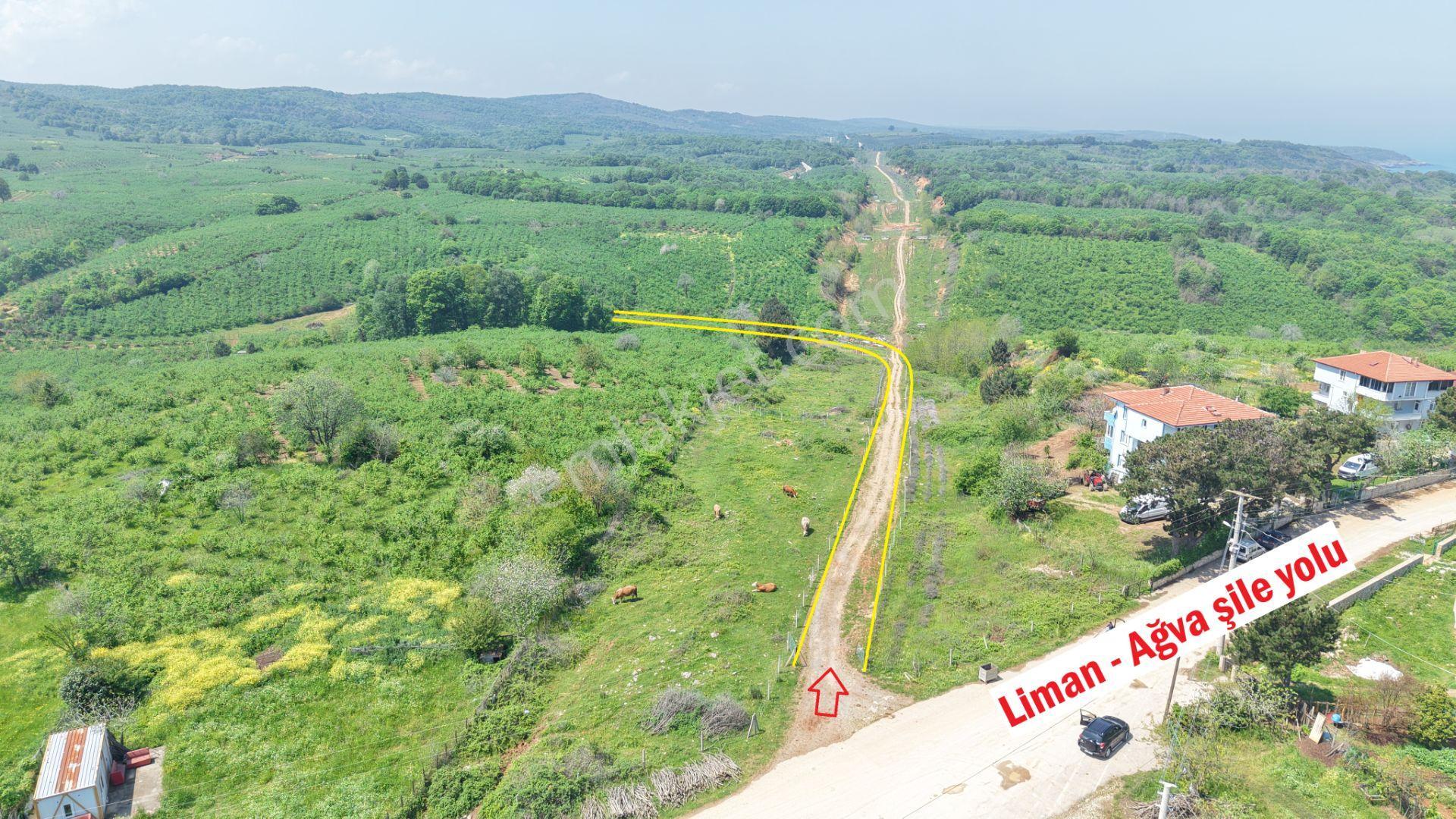 Bağırganlı'da Mahalle Merkezine Yakın Resmi Yollu Fındıklık - Görsel 9