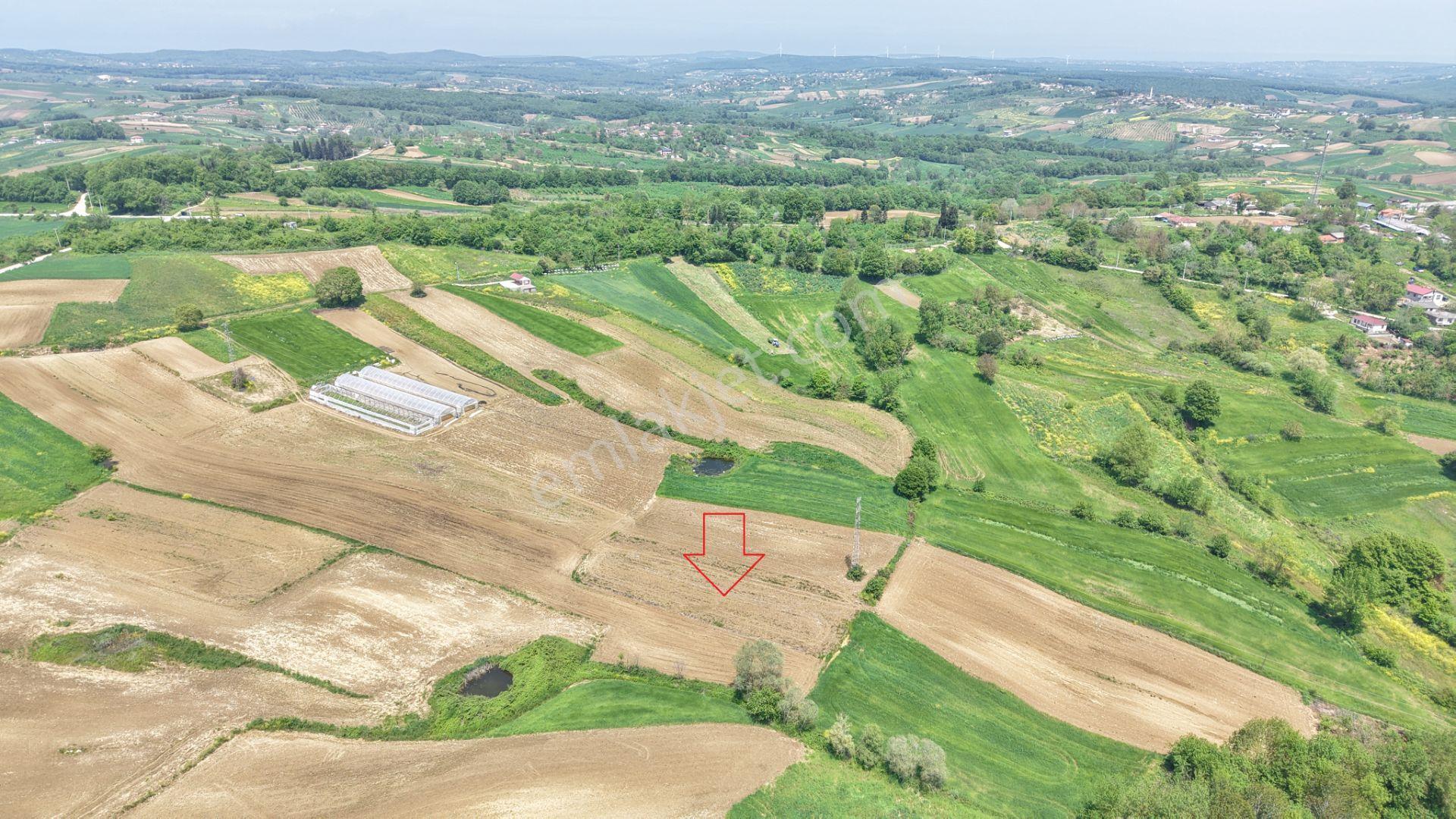 Kandıra Merkeze Yakın Çapı Düzgün 1219 M2 Satılık Tarla