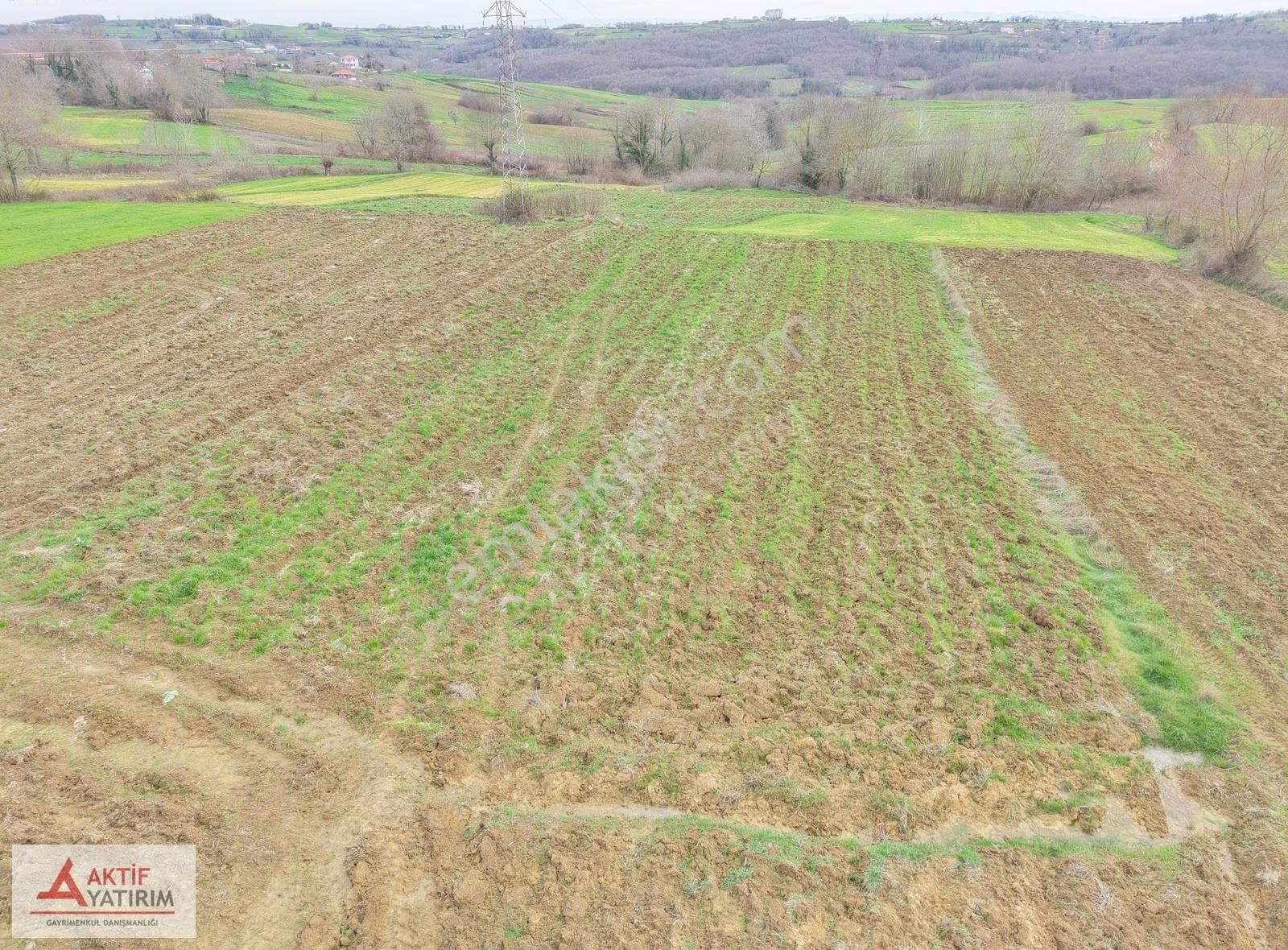 Kandıra Merkeze Yakın Çapı Düzgün 1219 M2 Satılık Tarla - Görsel 11