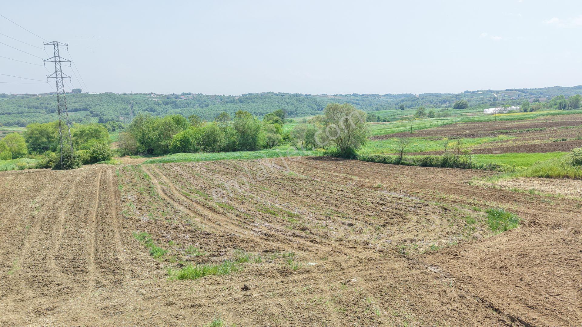 Kandıra Merkeze Yakın Çapı Düzgün 1219 M2 Satılık Tarla - Görsel 12