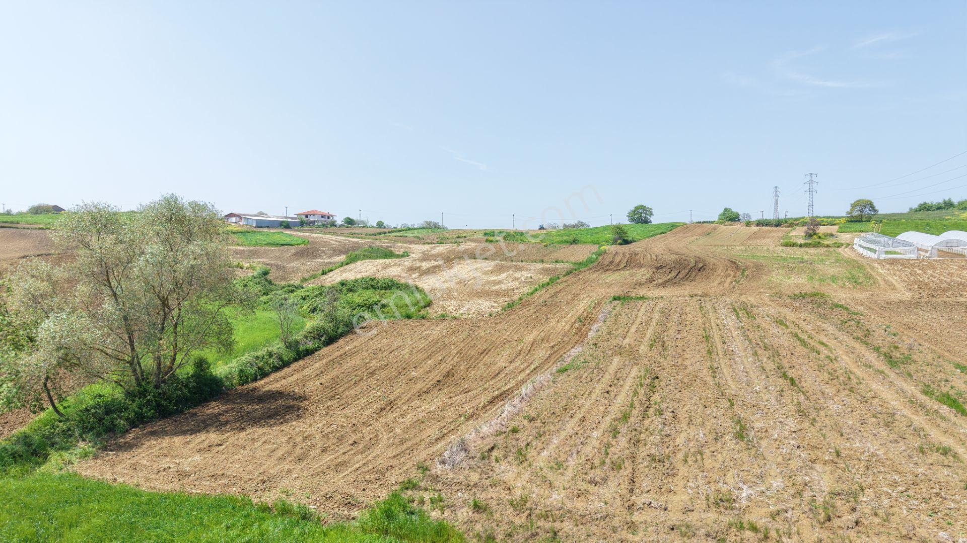 Kandıra Merkeze Yakın Çapı Düzgün 1219 M2 Satılık Tarla - Görsel 10