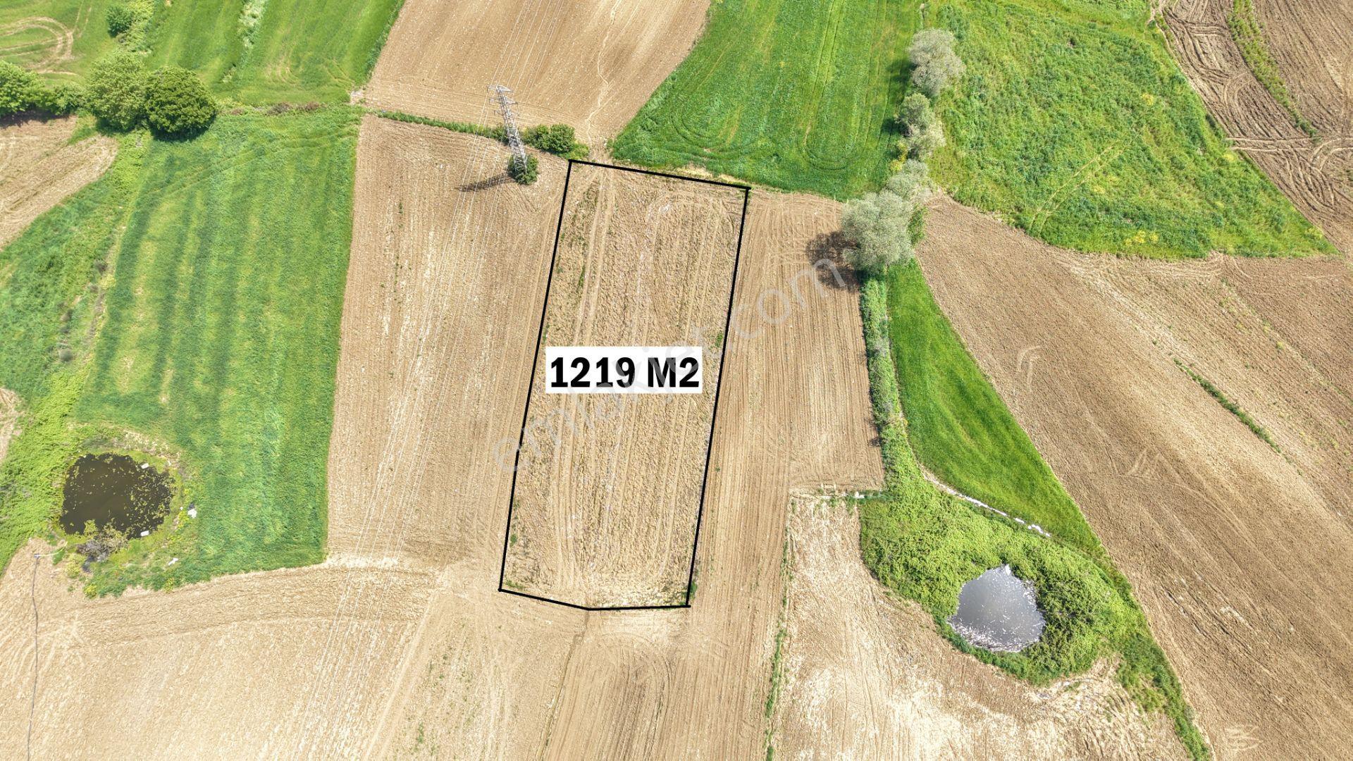 Kandıra Merkeze Yakın Çapı Düzgün 1219 M2 Satılık Tarla - Görsel 4