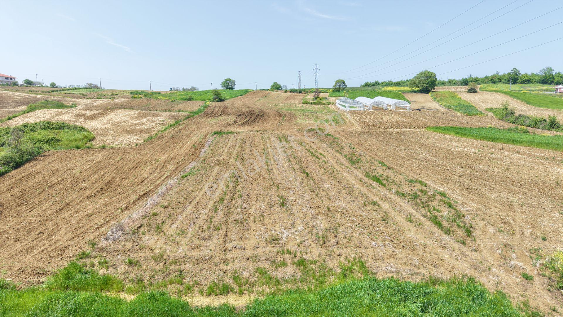 Kandıra Merkeze Yakın Çapı Düzgün 1219 M2 Satılık Tarla - Görsel 8