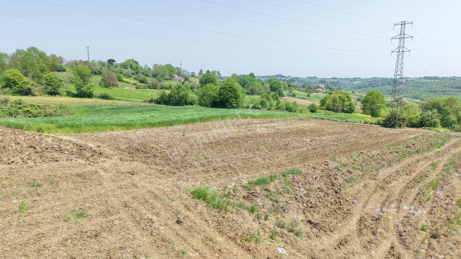 Kandıra Merkeze Yakın Çapı Düzgün 1219 M2 Satılık Tarla - Görsel 15
