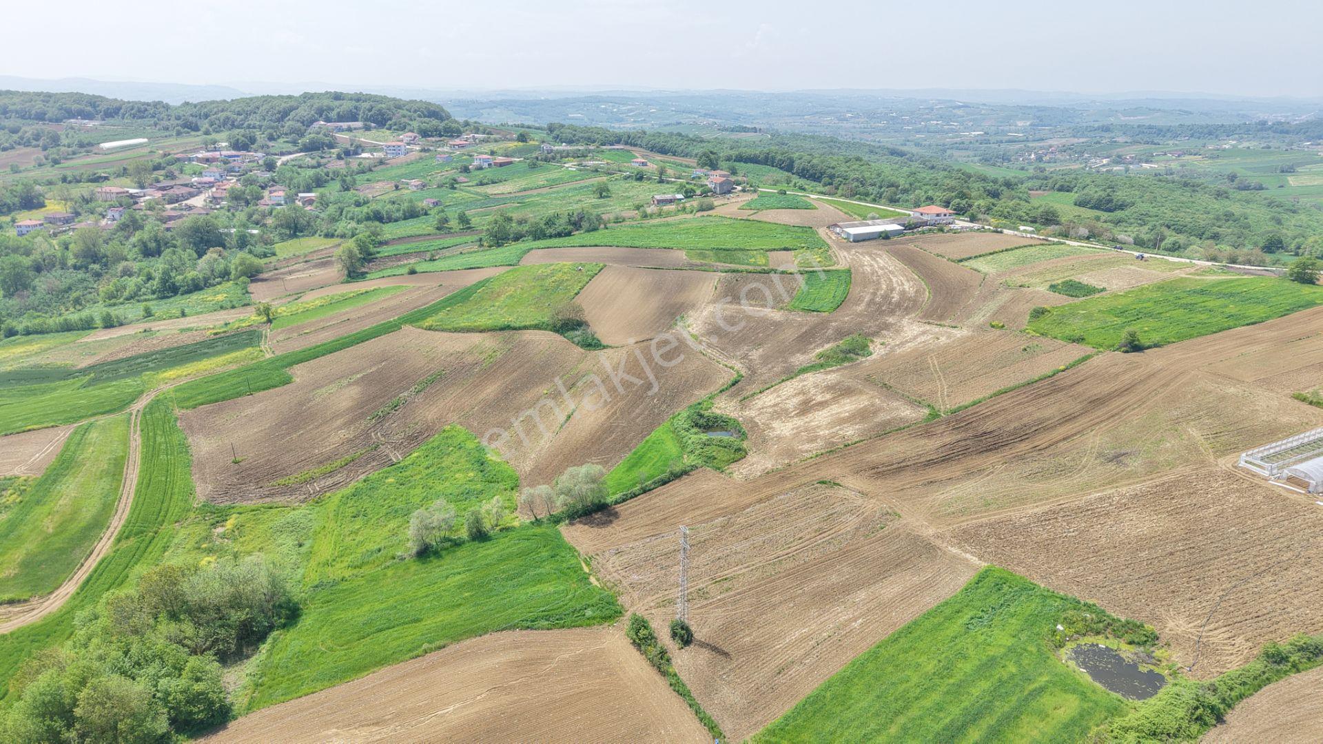 Kandıra Merkeze Yakın Çapı Düzgün 1219 M2 Satılık Tarla - Görsel 20