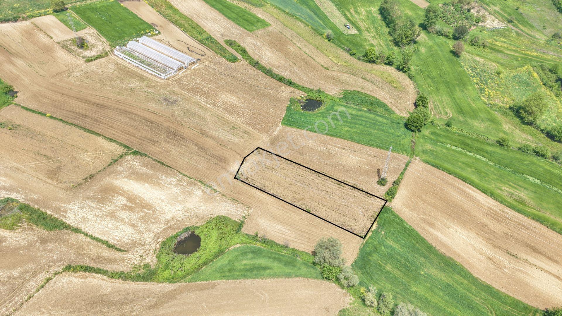 Kandıra Merkeze Yakın Çapı Düzgün 1219 M2 Satılık Tarla - Görsel 5