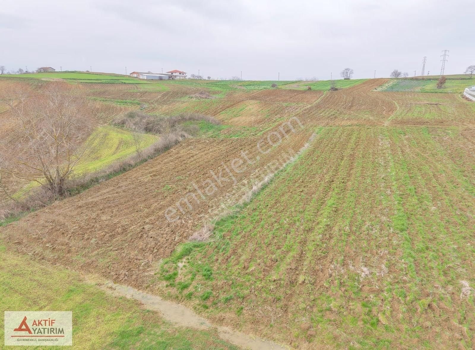 Kandıra Merkeze Yakın Çapı Düzgün 1219 M2 Satılık Tarla - Görsel 12