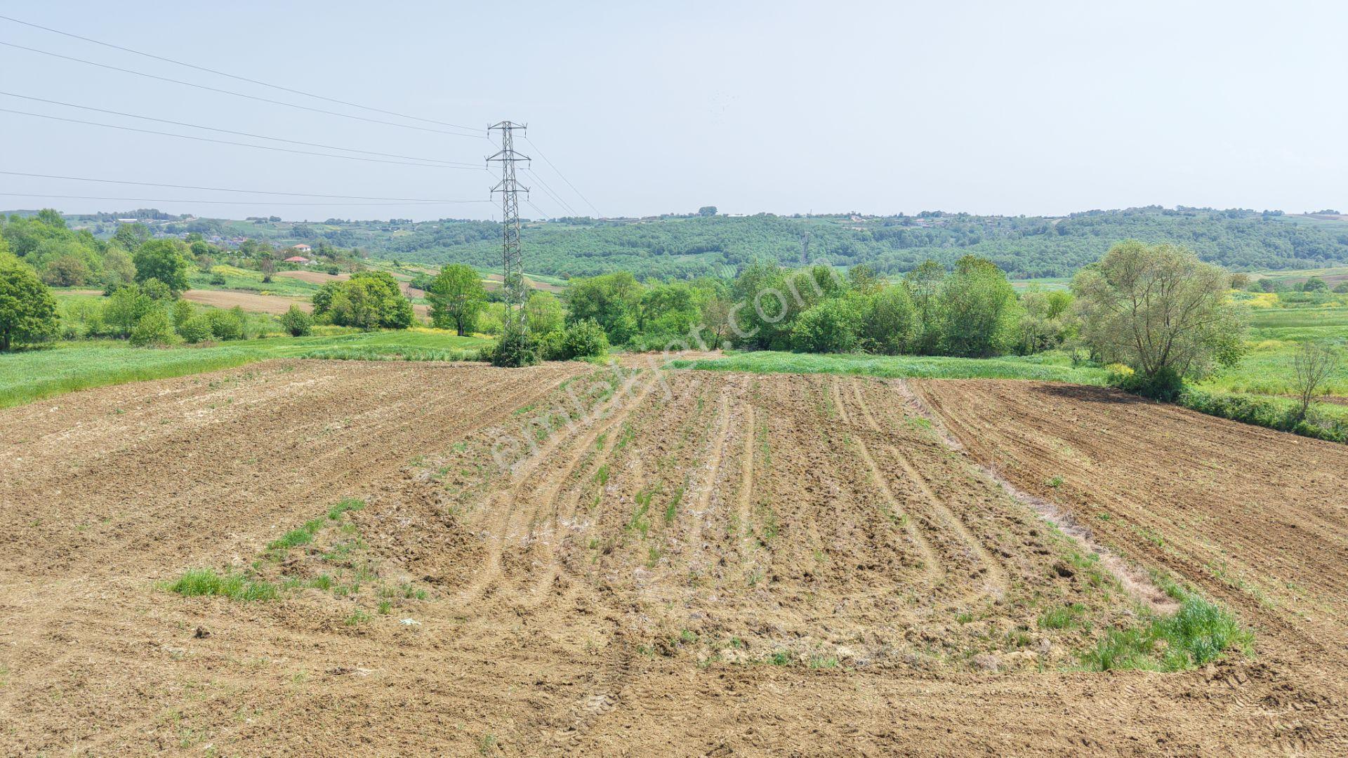 Kandıra Merkeze Yakın Çapı Düzgün 1219 M2 Satılık Tarla - Görsel 11