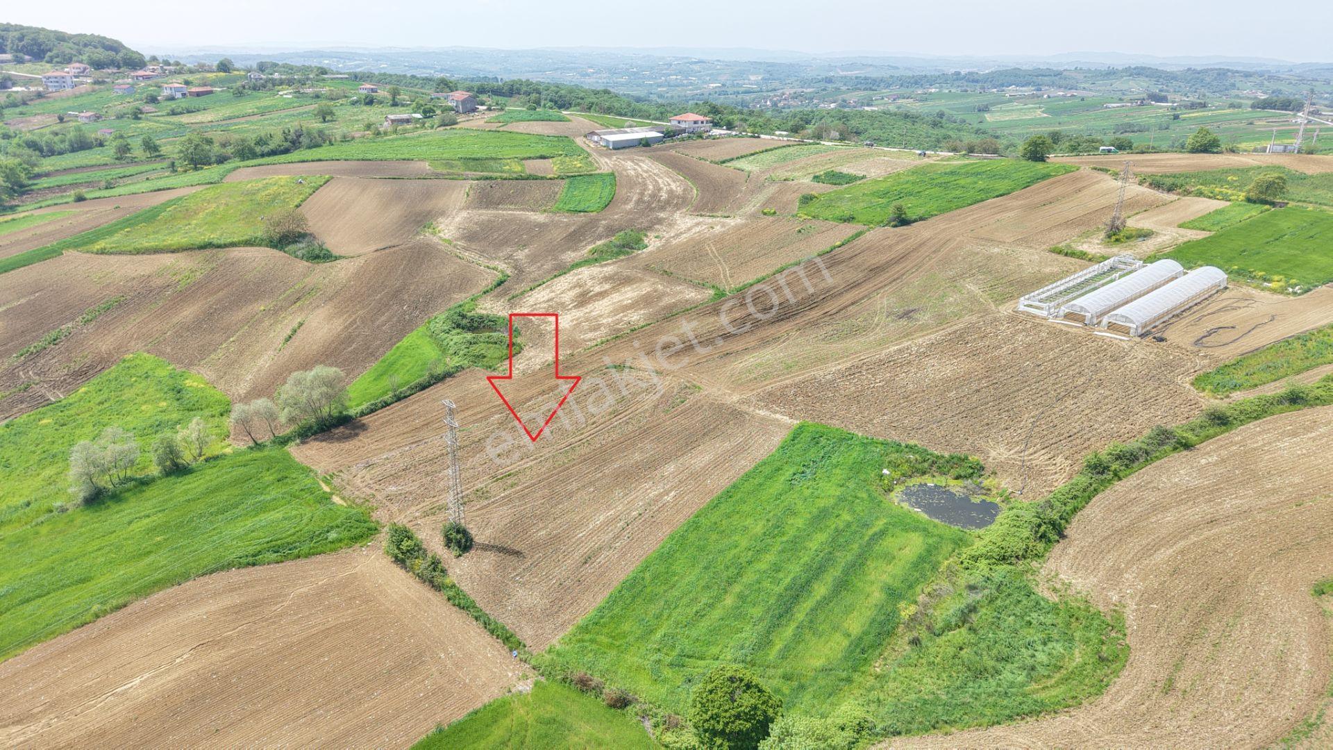 Kandıra Merkeze Yakın Çapı Düzgün 1219 M2 Satılık Tarla - Görsel 19