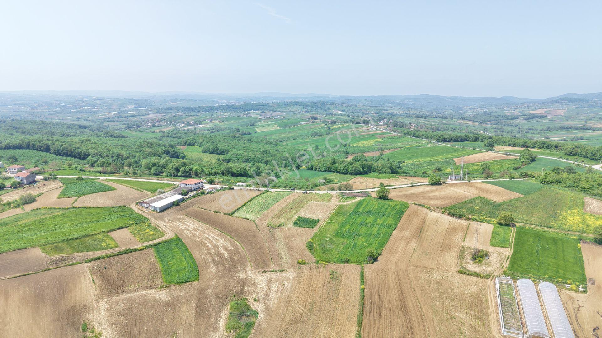 Kandıra Merkeze Yakın Çapı Düzgün 1219 M2 Satılık Tarla - Görsel 23