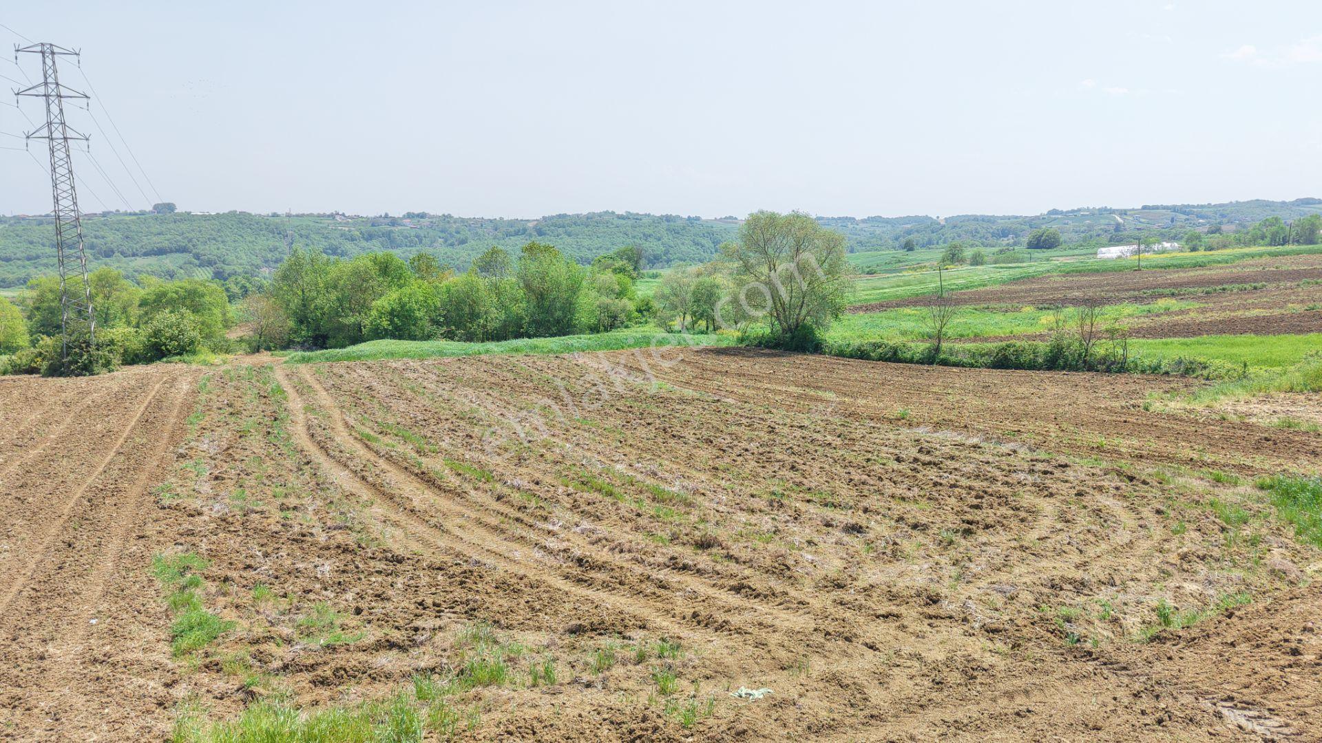 Kandıra Merkeze Yakın Çapı Düzgün 1219 M2 Satılık Tarla - Görsel 13