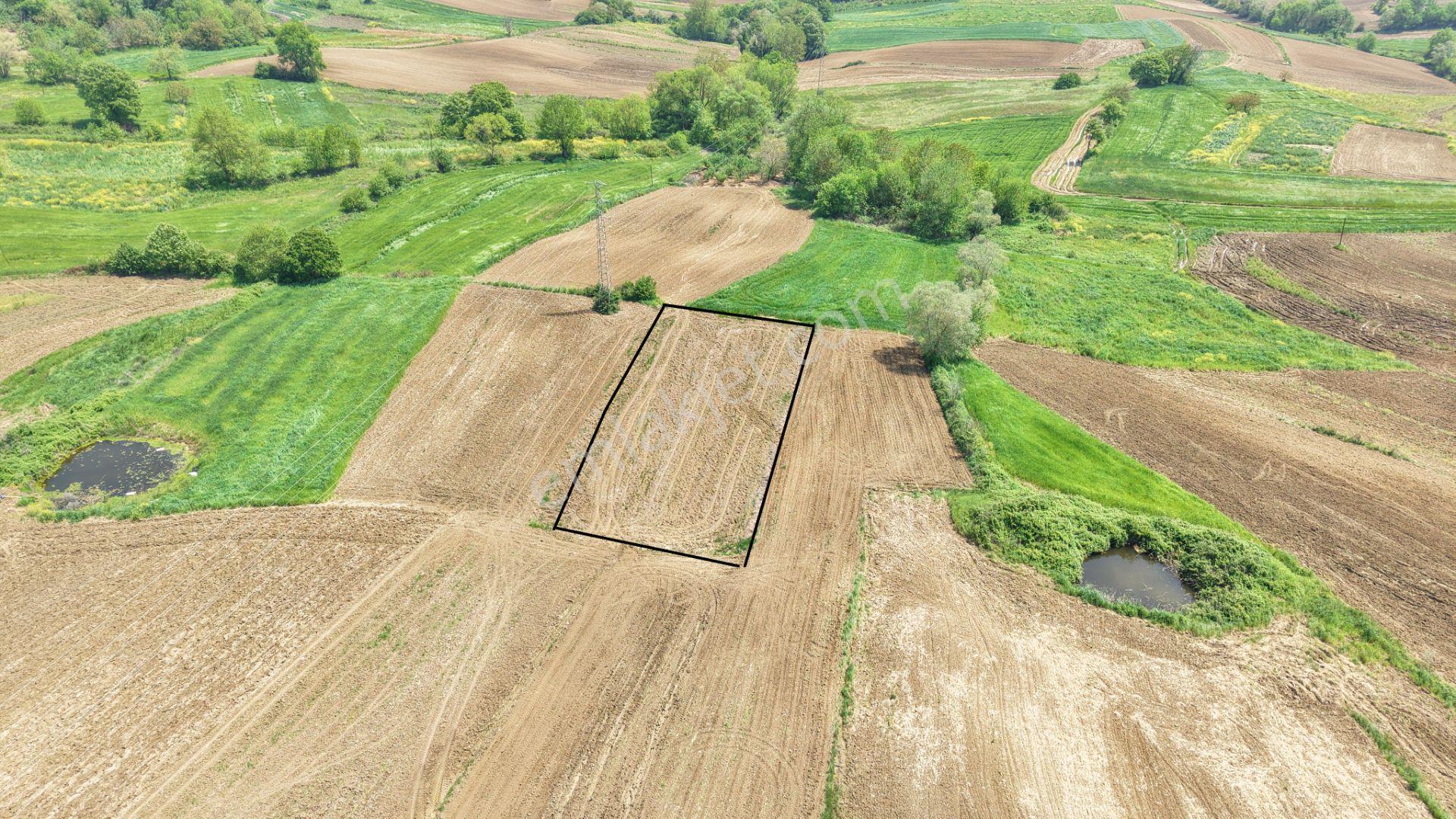 Kandıra Merkeze Yakın Çapı Düzgün 1219 M2 Satılık Tarla - Görsel 2
