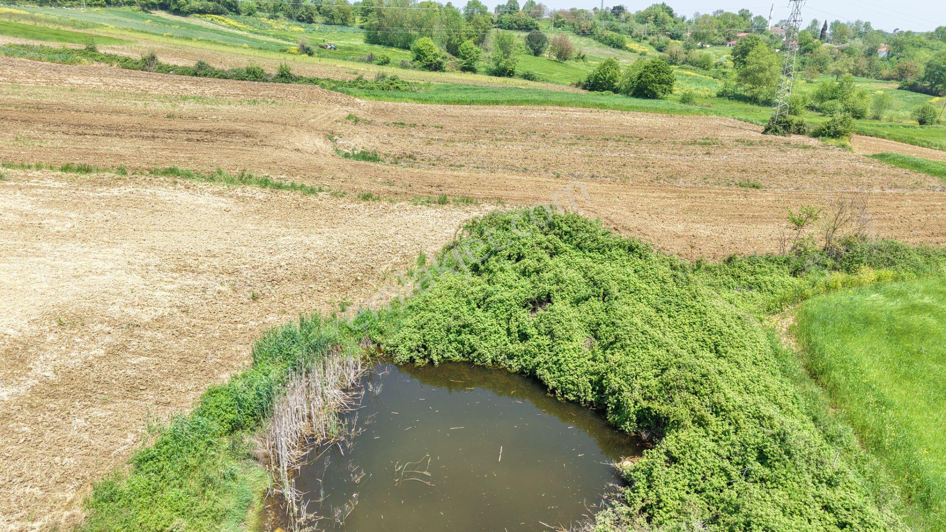 Kandıra Merkeze Yakın Çapı Düzgün 1219 M2 Satılık Tarla - Görsel 27