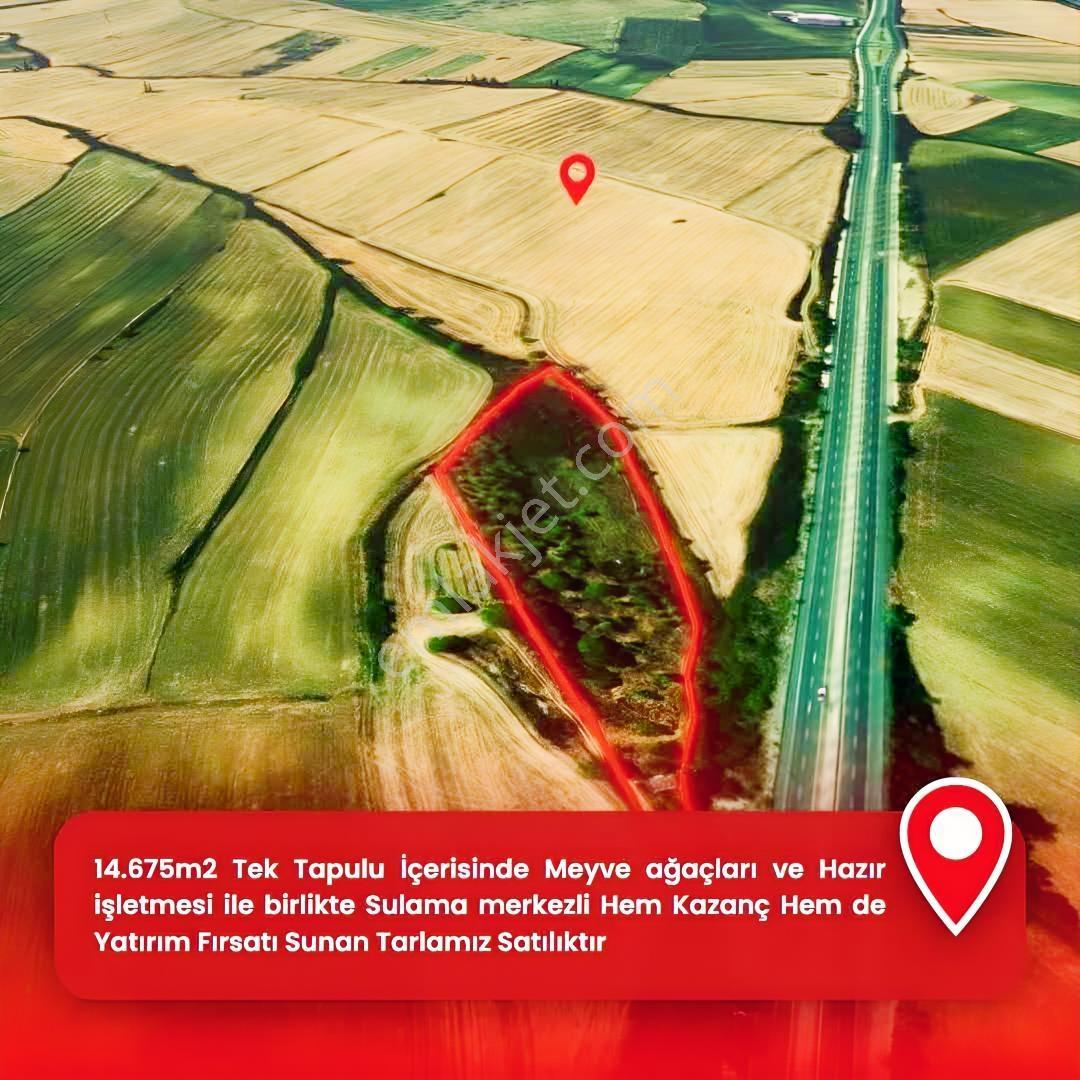 Megeden E5 Üzerinde Tek Tapulu 14.675 M² Meyve Bahçesi - Görsel 17