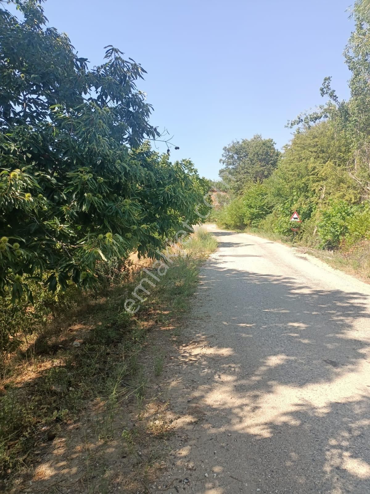 Demetten Tirede Ceviz Bahçesi Satılık