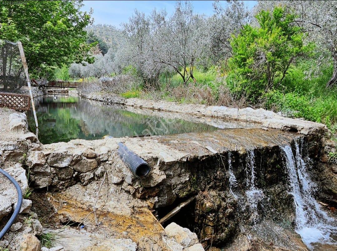 Adatepe Mıhlı Şelale Yolu Dere Ve Şelaleli Zeytinlik 11.738 M2 - Görsel 9