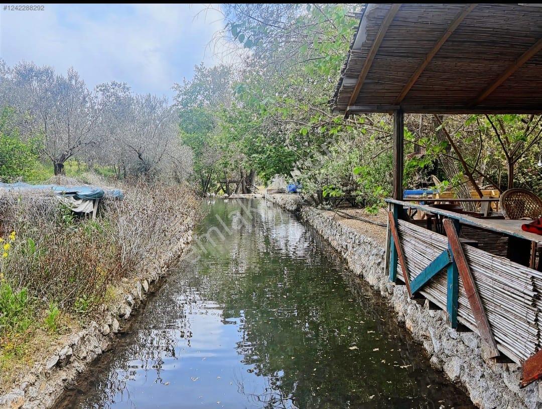 Adatepe Mıhlı Şelale Yolu Dere Ve Şelaleli Zeytinlik 11.738 M2 - Görsel 12