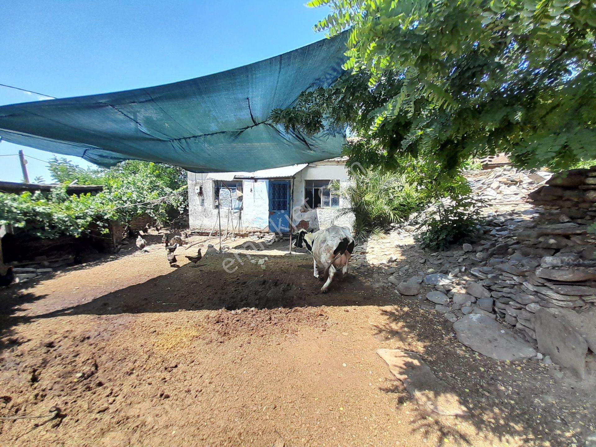 Tire Çiniyeri Satılık 318 M2 Avlulu Ev - Görsel 21