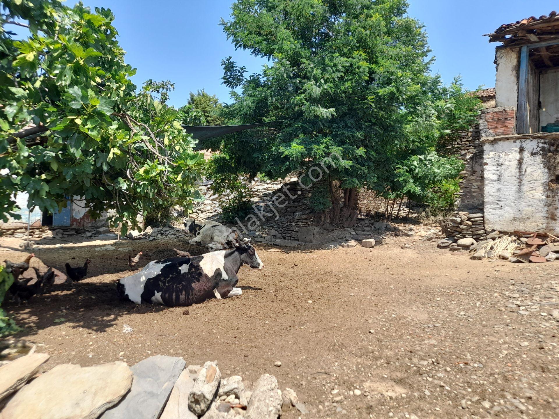 Tire Çiniyeri Satılık 318 M2 Avlulu Ev - Görsel 8