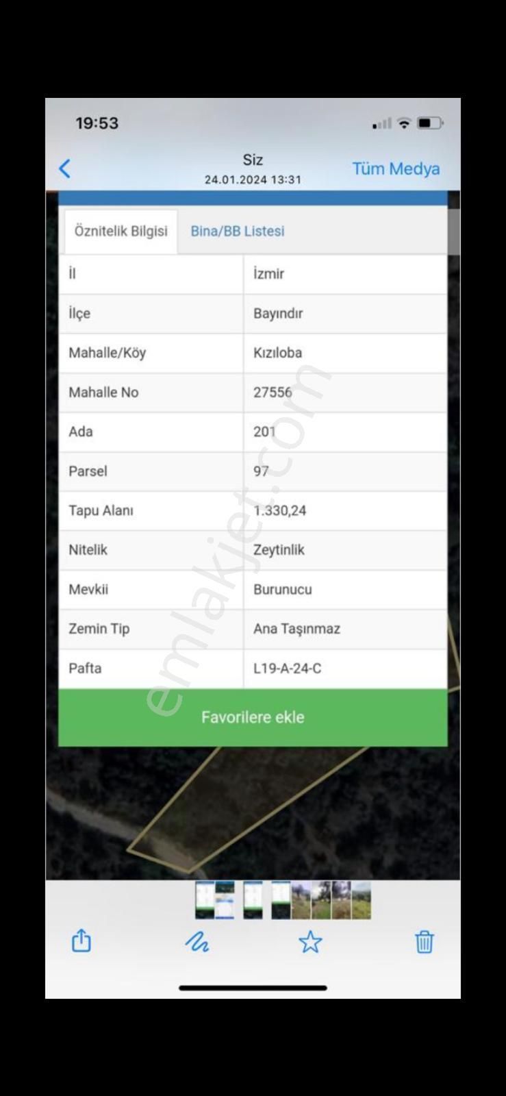 Demetten Bayındırda Satılık Zeytinlik