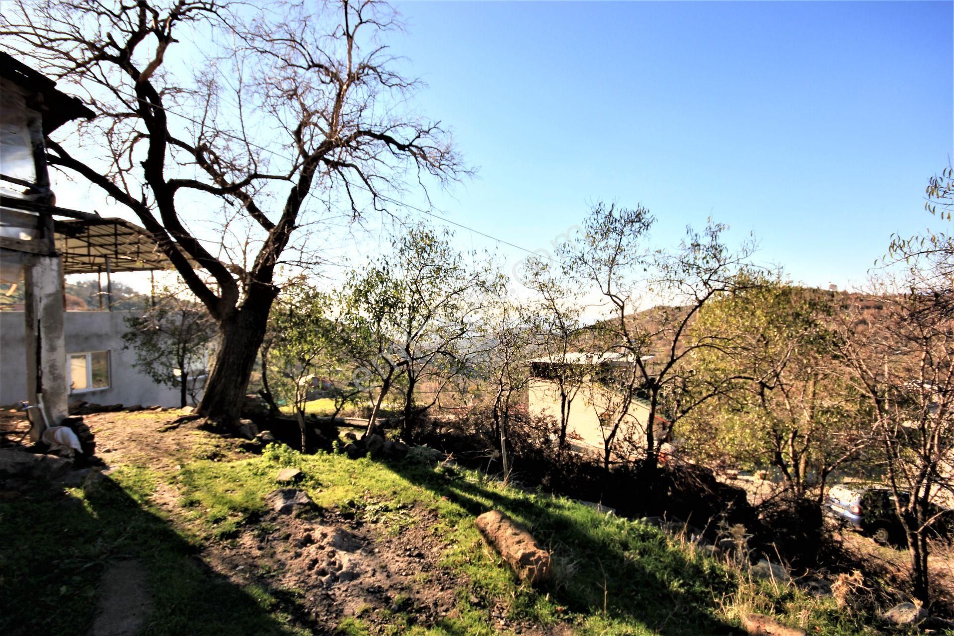 Aktif'ten Burhaniye Kuyucak Köyünde Kaçırılmayacak Satılık Taş Ev - Görsel 3