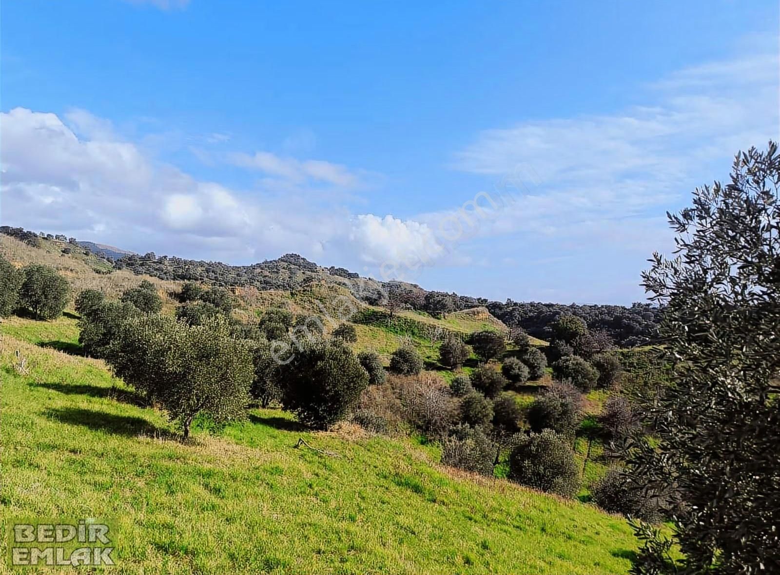 Açılması Planlanan Kuzey Çevre Yolu Güzergahında - Görsel 3